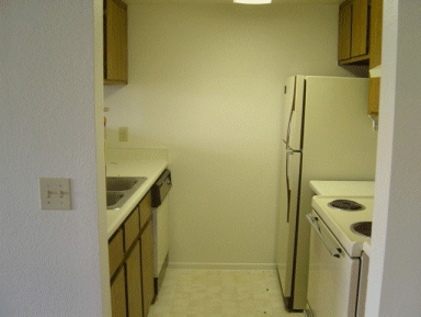 (PICTURE OF KITCHEN OF TYPICAL UNIT)